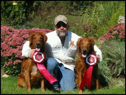 photo of golden retrievers