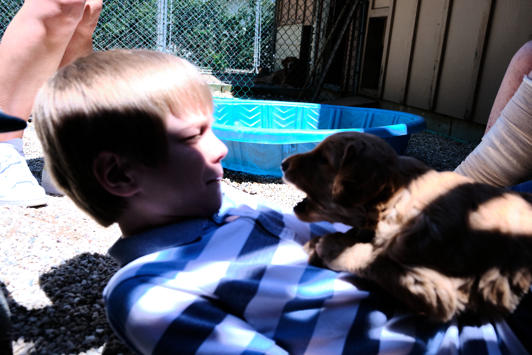 puppy on boy's chest