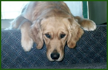 Jennie pouting on top of couch