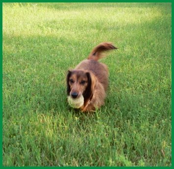 Max N. playing ball