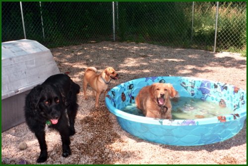 pool time